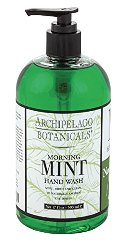 Archipelago Botanicals Morning Mint Hand Wash | Gentle, Daily Hand Soap | Cleanse and Hydrate (17 fl oz)
