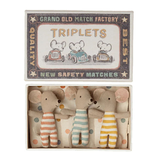 Baby Triplet Mice in a Matchbox